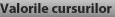valorile cursurilor pe an